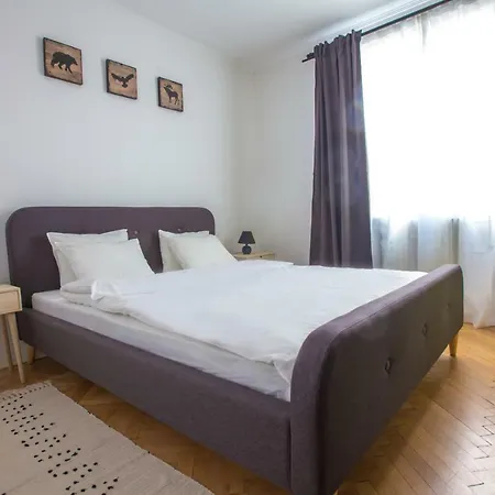 Lägenhet Old Town Apartments Doamnei St